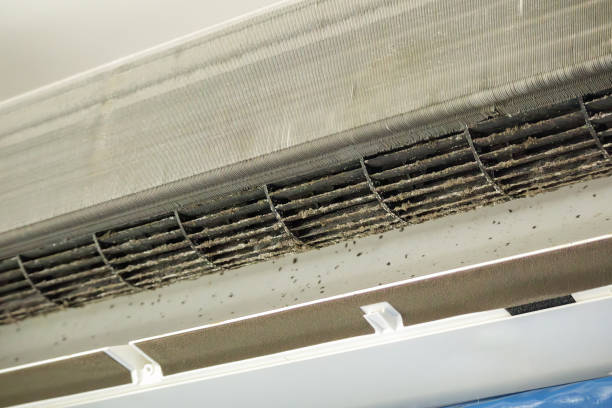 Best Affordable Air Duct Cleaning  in Fairplains, NC